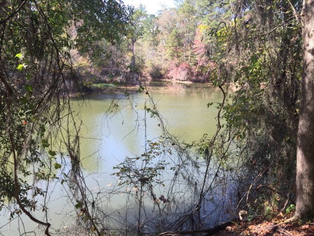 431 Us Hwy 431, Eufaula, AL 36027